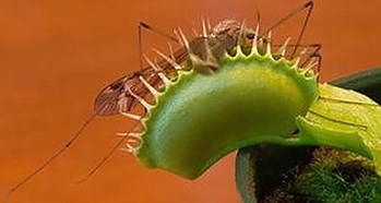 黄子韬:娱乐圈“每日大赛”的活跃身影与公众关注