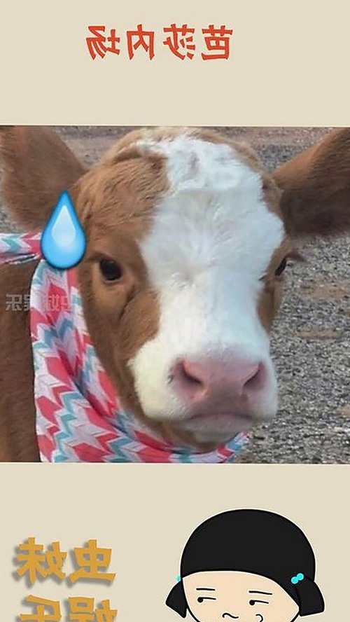 阿宗：从李宗盛模仿者到音乐新星的崛起之路